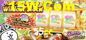 55cc