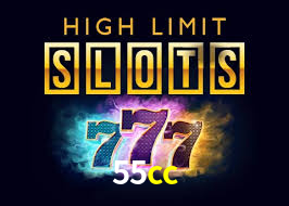 Experimente o Login Seguro Premium no 55cc